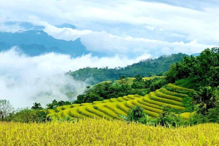 Sapa Half Day Trekking Y Linh Ho with Lao Chai and Ta Van