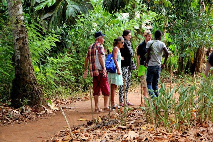 Passeio pela Floresta Jozani e Fazenda de Especiarias em Zanzibar