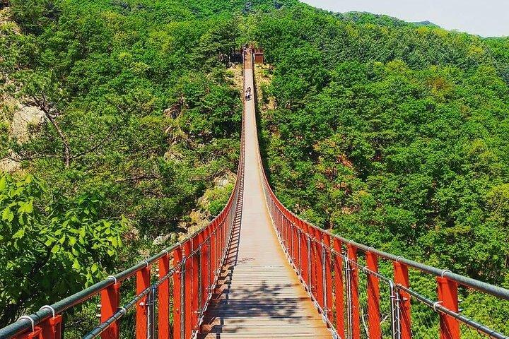 ソウルと郊外のプライベートカスタマイズツアー（エキスパートパートドライバー付き）