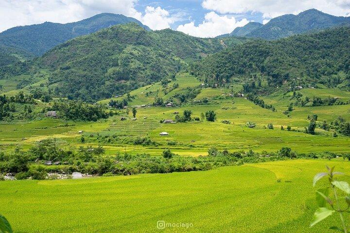 Sapa - Ha Noi: Dagelijkse limousinebus