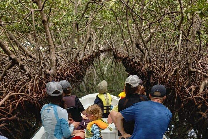 Roatan Ostseite: Mangroventunnel und Schnorchelabenteuer