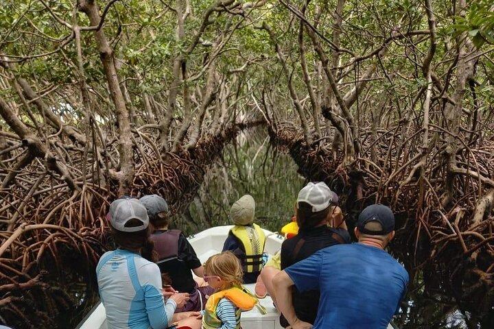 Roatan Ostseite: Mangroventunnel und Schnorchelabenteuer