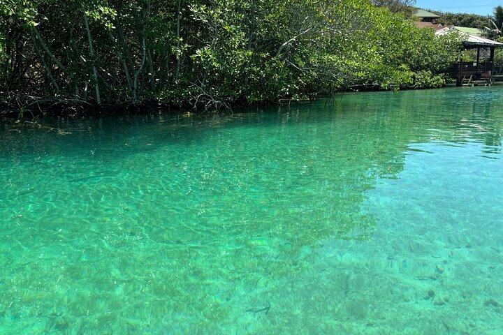 Roatan Ostseite: Mangroventunnel und Schnorchelabenteuer
