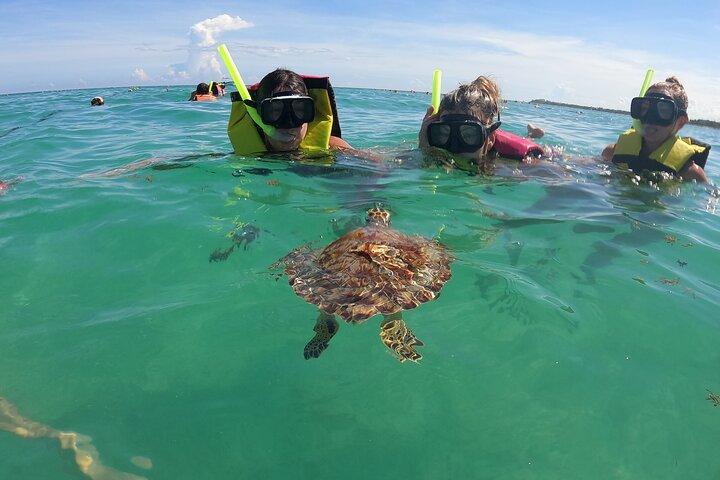 Tour Privado: Nado com tartarugas, 2 cenotes e GoPro