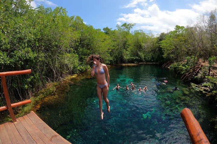 Tour Privado: Nado com tartarugas, 2 cenotes e GoPro