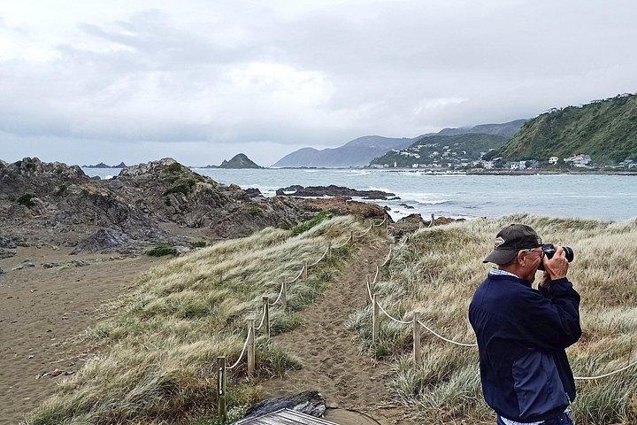 Spectacular Wellington: Full Day Private Sightseeing Tour
