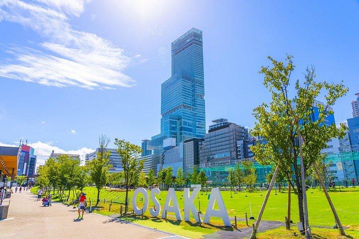 大阪ハイライトローカルドライバー付きプライベートツアー
