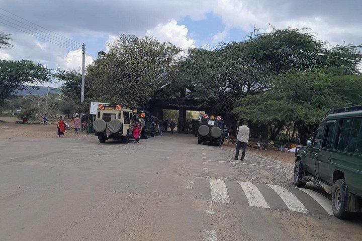 Excursion d'une journée à Maasai Mara au départ de Nairobi
