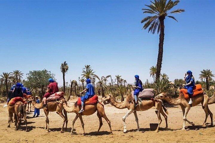 Private Marrakech Day Trip from Casablanca – All Highlights