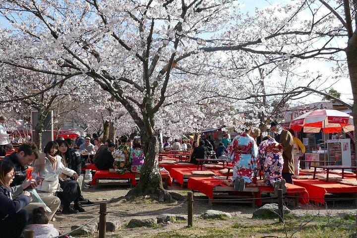 清水寺、東山、八坂神社ガイド付きウォーキングツアー