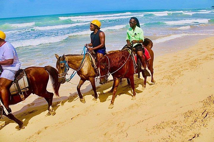 Horse Back Riding Adventure in Punta Cana