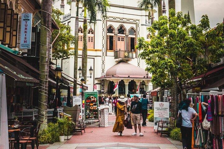 Visita à Cidade Cultural de Singapore