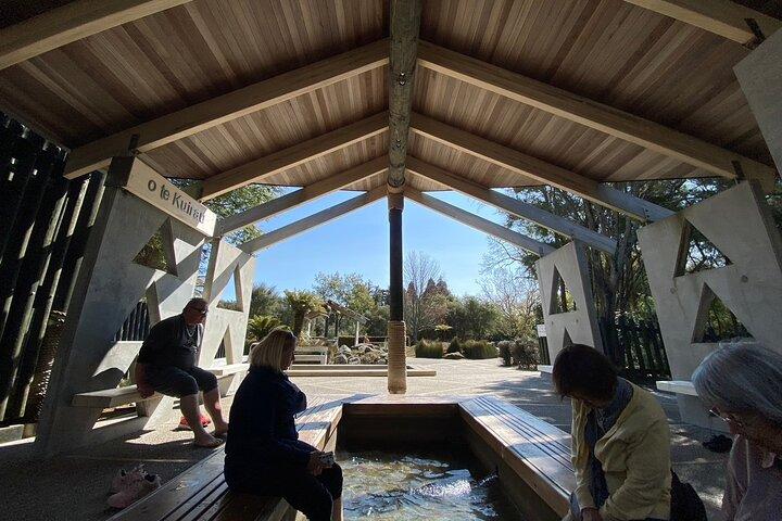 オークランド発ホビット村＆ロトルア小グループツアー