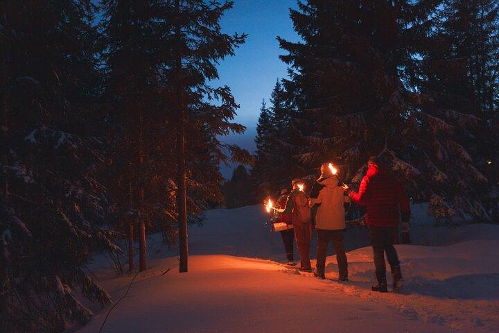 Promenade en forêt en hiver et feu de camp aux flambeaux à Oslo