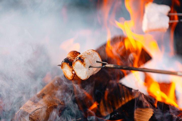 Winter Forest Walk and Campfire by Torchlight in Oslo