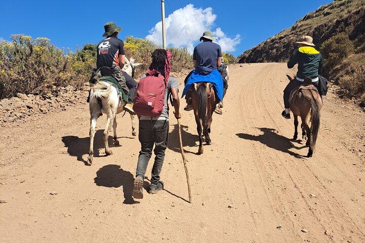 Excursion de 5 jours dans le nord de l'Éthiopie : Trek et Axum 3D Simien Mountains.