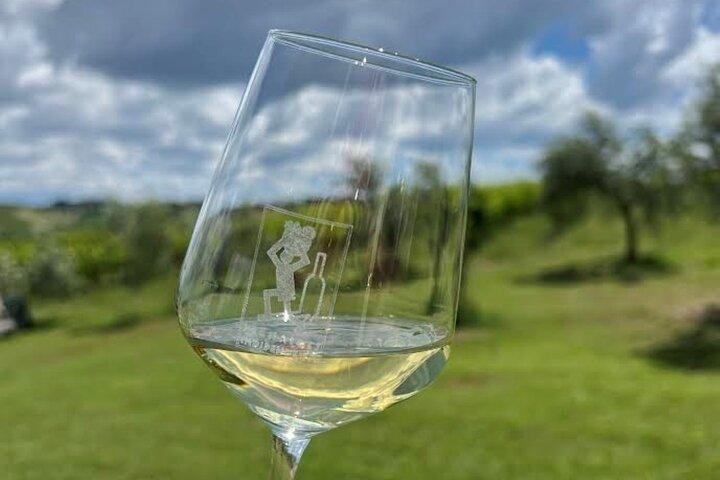 Découvrez les vins italiens à Tenuta La Viola avec 6 dégustations