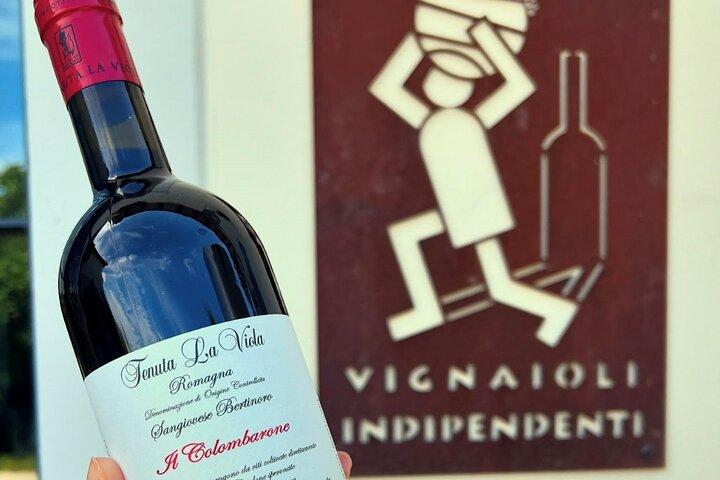 Découvrez les vins italiens à Tenuta La Viola avec 6 dégustations