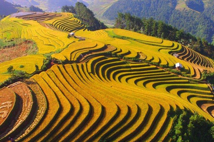 Von Sapa nach Dien Bien Phu Highlights Historische Tagestour