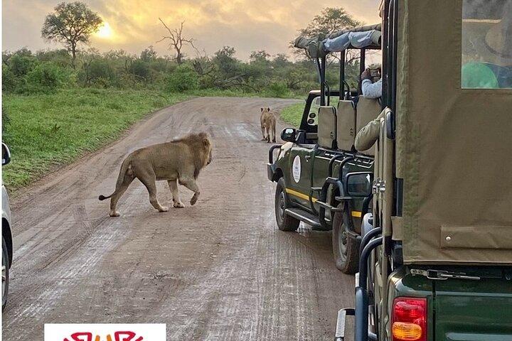 Safári Kruger de 2 dias com tudo incluído saindo de Nelspruit