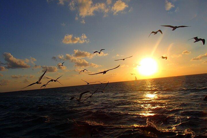 Privat Sandbank Sunset Cruise