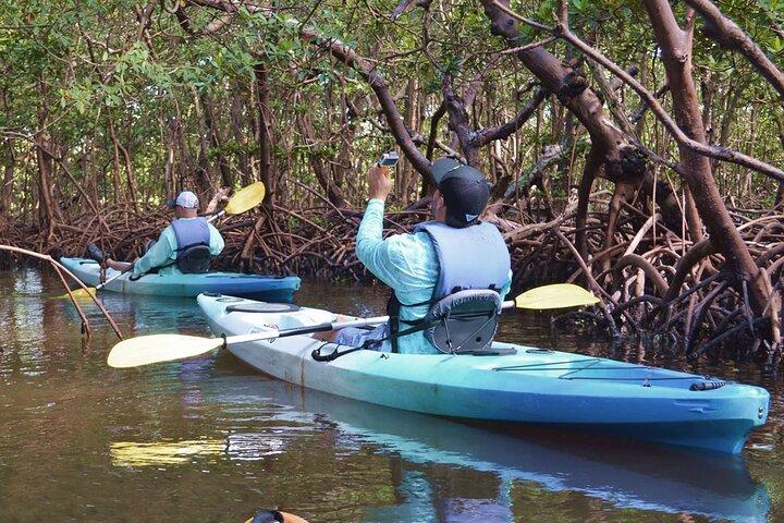 Mangrove Tunnels Kayak Tour (Photographer Included)- Marco Island
