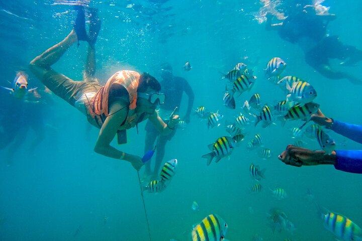 Visita Guiada a la Isla de Barú y Manglares