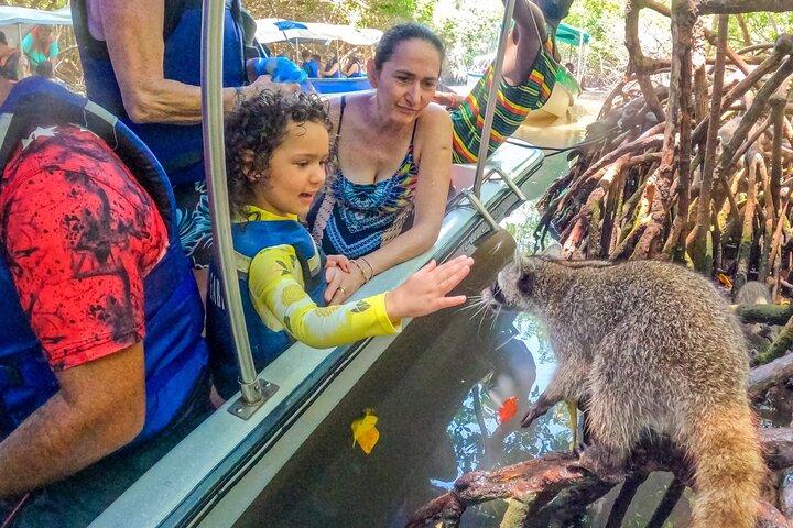 Visita Guiada a la Isla de Barú y Manglares