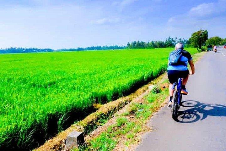 ハンバントタ港からのヤラのサイクリング遠征