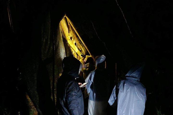 Monteverde Night Walk: Guided Wildlife Tour