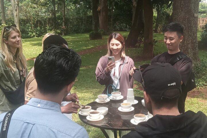 Coffee Farm Tour (Messe)