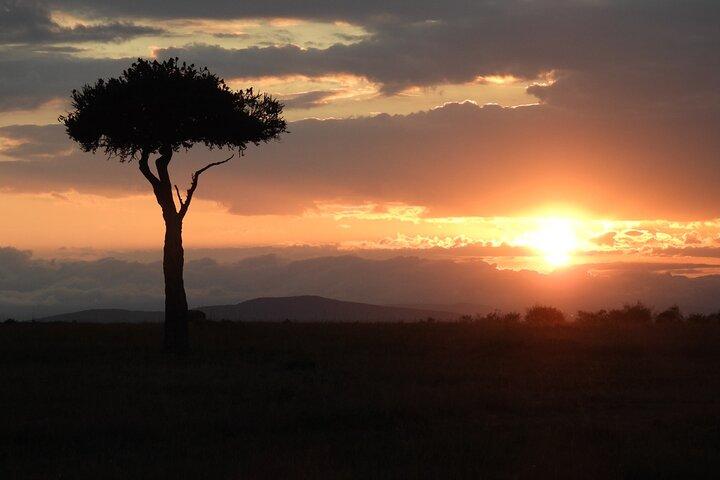 4 días de safari en el lago Nakuru y Masai Mara