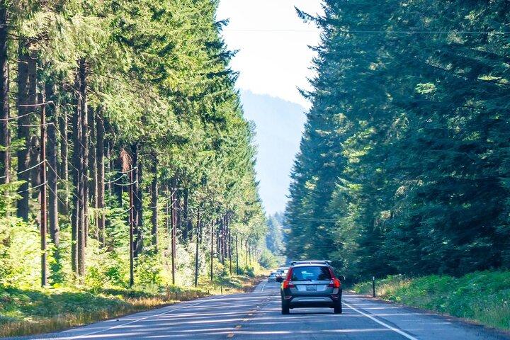 Tour audioguidato del Parco nazionale del Monte Rainier