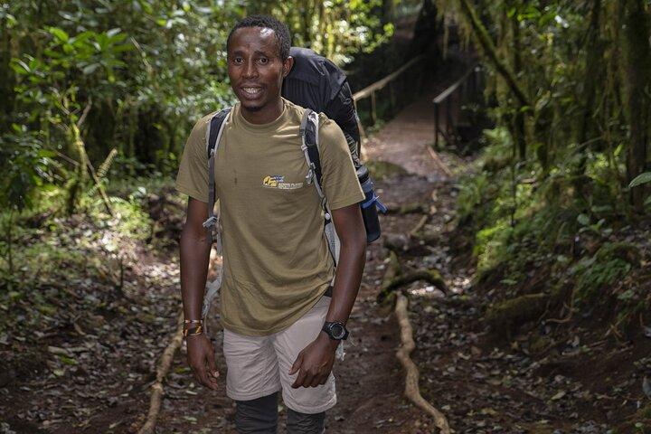 Kilimanjaro Lemosho rute 7 dage