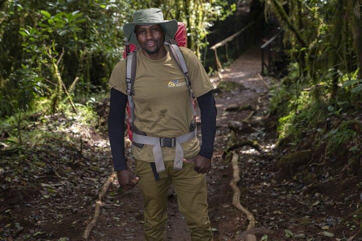Kilimanjaro Lemosho rute 7 dage
