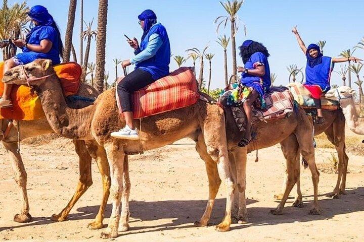 Sunset Camel Ride Marrakech Palmeraie
