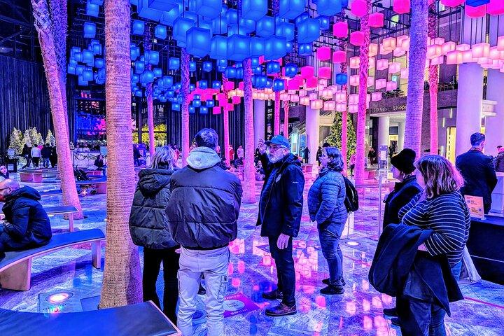 NYC Holiday Lights Tour