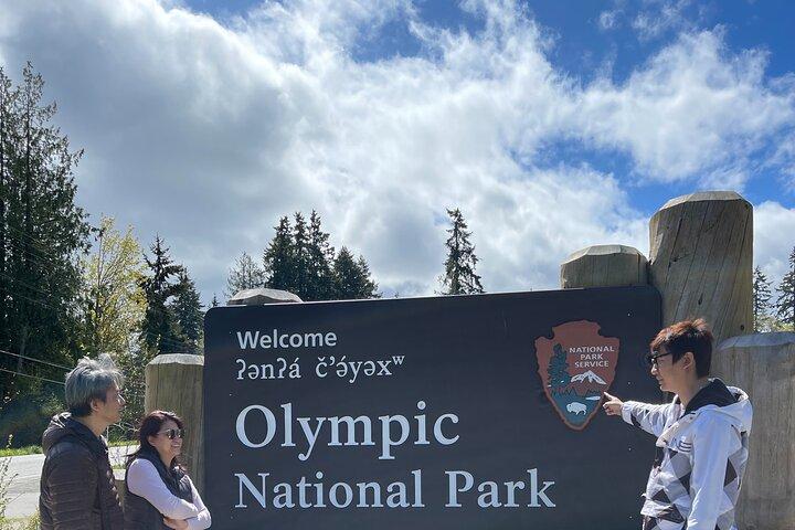 Excursion d'une journée au parc national olympique en petit groupe au départ de Seattle 2CanGo