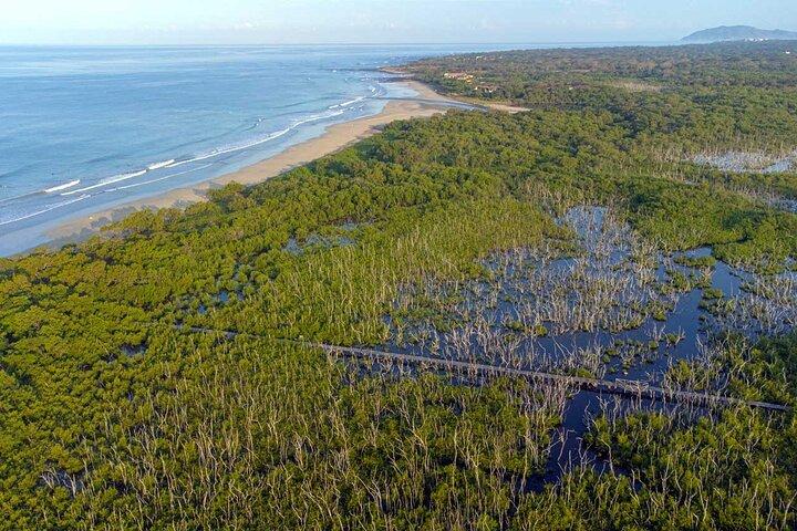 Private Wildtiertour am Strand Avellanas