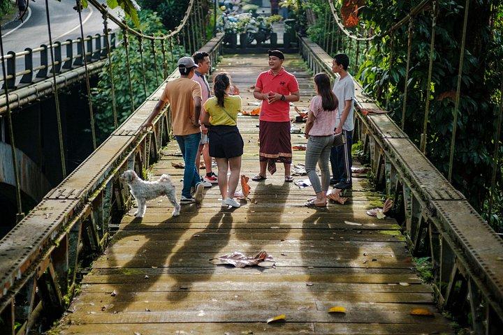 Ubud guidet vandretur