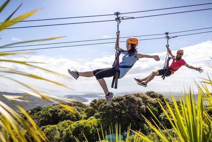 Safe Zip line adventure in Punta Cana