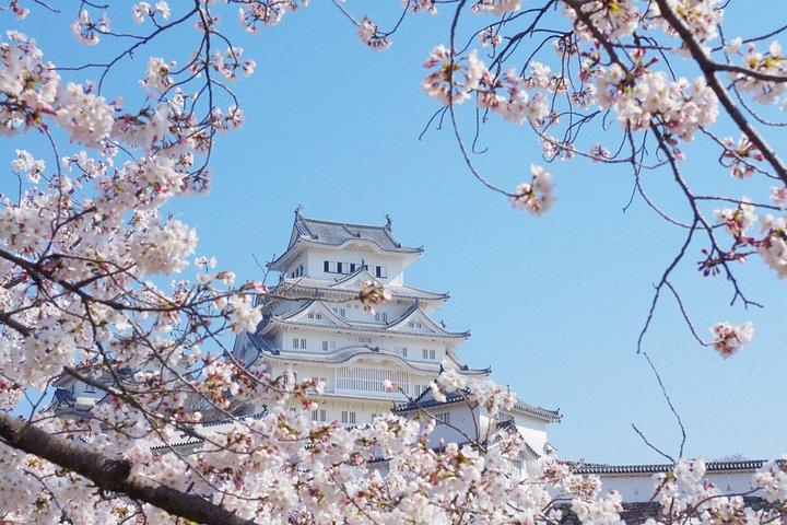 京都または大阪から新幹線で広島へのプライベート日帰り旅行