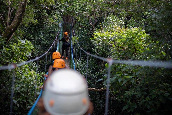 タマリン堂：プライベートジップライン、乗馬、温泉ツアー