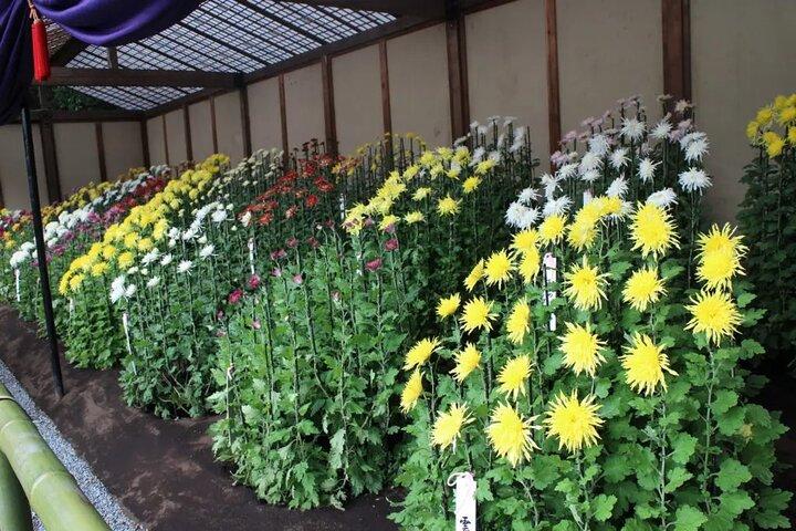 Tokyo Autumn Gardens, privéwandeling met de trein en metro