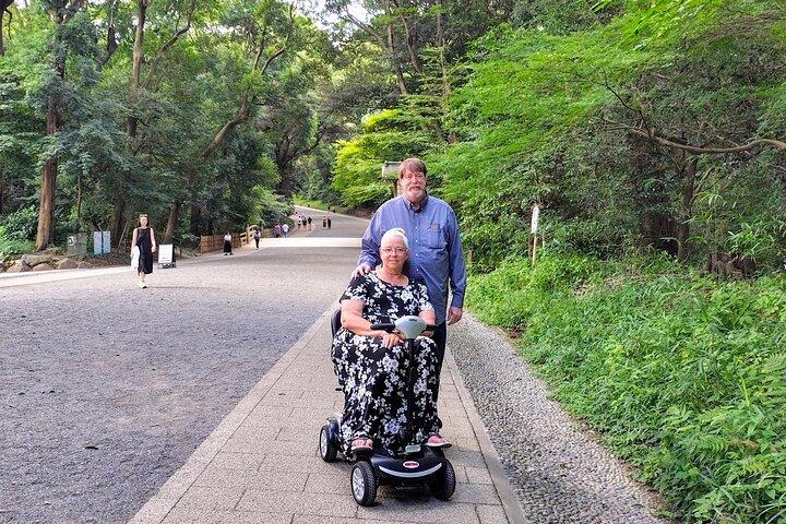 Excursão Acessível a Dia Inteiro de Tóquio para Usuários de Cadeira de Rodas