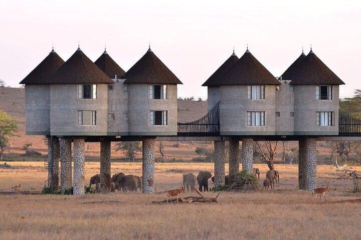 3 Days 2 Nights Safari to Saltlick Lodge from Mombasa