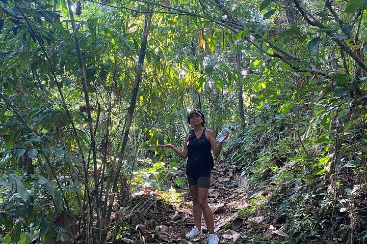 Selva de Bali y aventura local en Tabanan, Bali