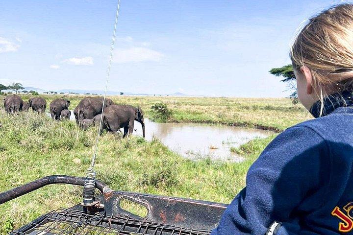 4 days safari
