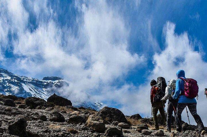 Escursione di 1 giorno al Parco Nazionale del Monte Kenya attraverso il percorso Narumoro