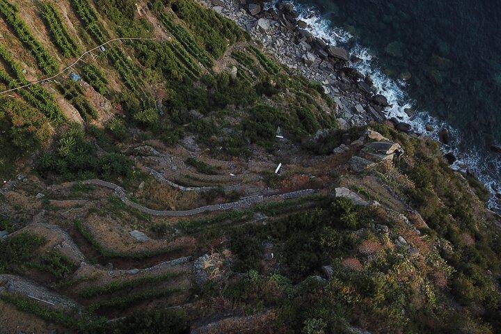 Tour privato di vino e viste alle Cinque Terre